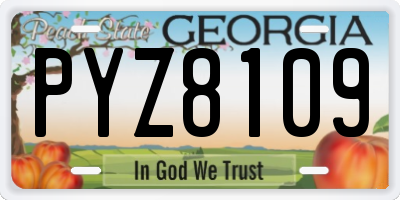 GA license plate PYZ8109