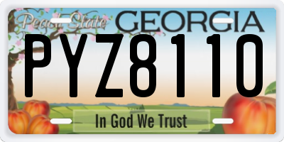 GA license plate PYZ8110