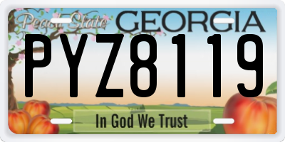 GA license plate PYZ8119