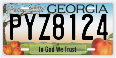 GA license plate PYZ8124