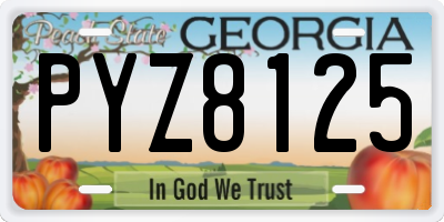 GA license plate PYZ8125
