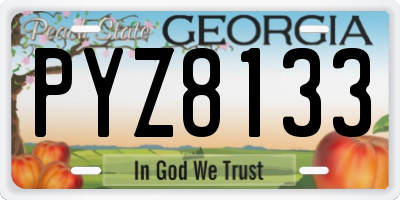 GA license plate PYZ8133