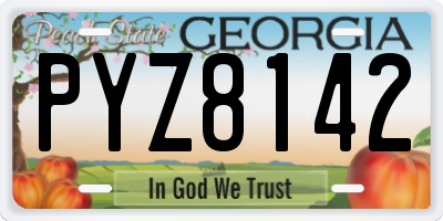 GA license plate PYZ8142