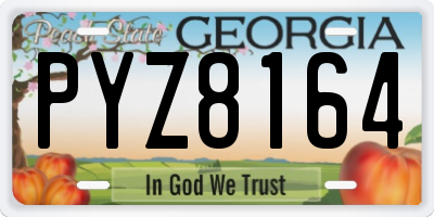 GA license plate PYZ8164