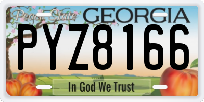 GA license plate PYZ8166