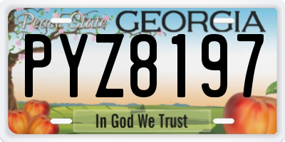 GA license plate PYZ8197