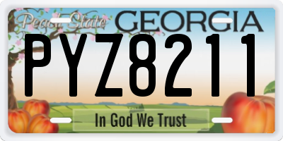 GA license plate PYZ8211