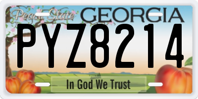 GA license plate PYZ8214