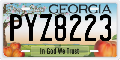 GA license plate PYZ8223