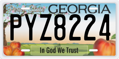 GA license plate PYZ8224