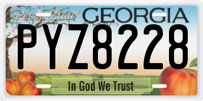 GA license plate PYZ8228