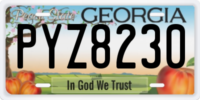 GA license plate PYZ8230