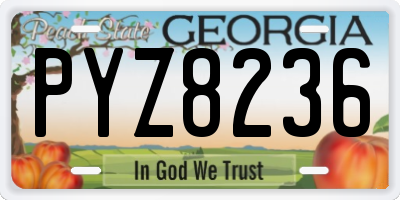 GA license plate PYZ8236