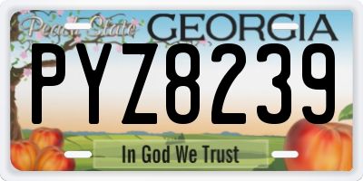 GA license plate PYZ8239