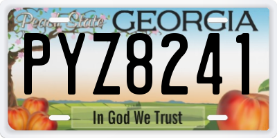 GA license plate PYZ8241