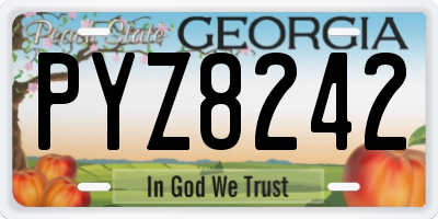 GA license plate PYZ8242