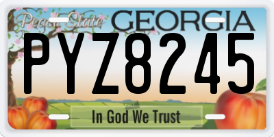 GA license plate PYZ8245