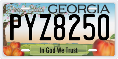 GA license plate PYZ8250