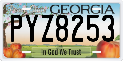 GA license plate PYZ8253