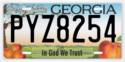 GA license plate PYZ8254