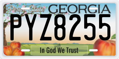 GA license plate PYZ8255