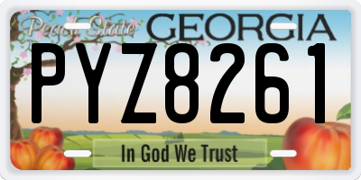 GA license plate PYZ8261