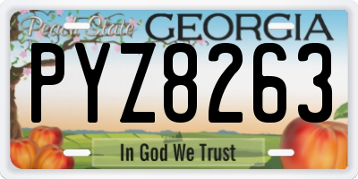 GA license plate PYZ8263