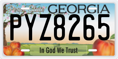 GA license plate PYZ8265