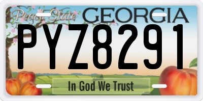 GA license plate PYZ8291
