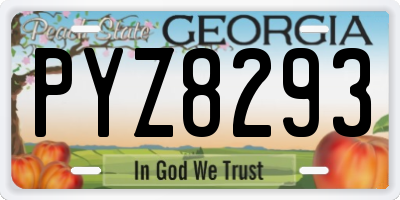 GA license plate PYZ8293