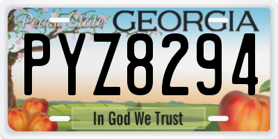 GA license plate PYZ8294