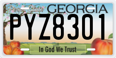 GA license plate PYZ8301
