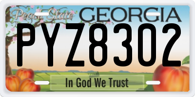 GA license plate PYZ8302