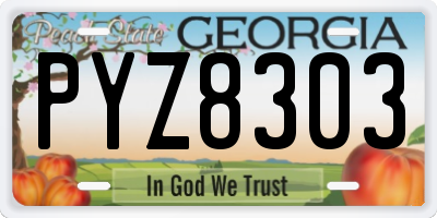 GA license plate PYZ8303