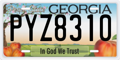 GA license plate PYZ8310