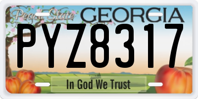 GA license plate PYZ8317