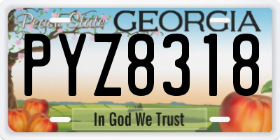 GA license plate PYZ8318