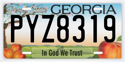 GA license plate PYZ8319