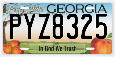 GA license plate PYZ8325