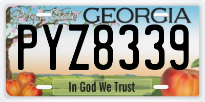GA license plate PYZ8339