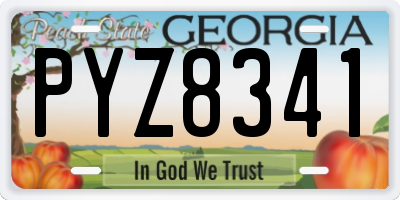 GA license plate PYZ8341