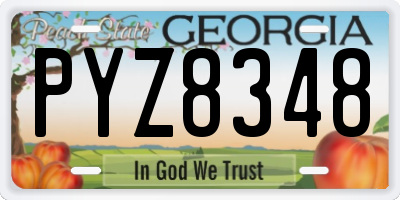 GA license plate PYZ8348