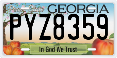 GA license plate PYZ8359
