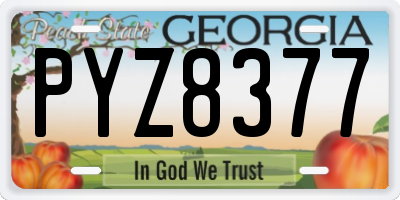 GA license plate PYZ8377
