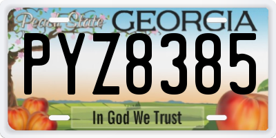 GA license plate PYZ8385