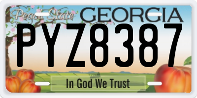 GA license plate PYZ8387