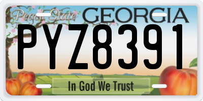 GA license plate PYZ8391