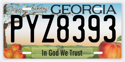 GA license plate PYZ8393