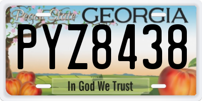 GA license plate PYZ8438