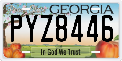 GA license plate PYZ8446